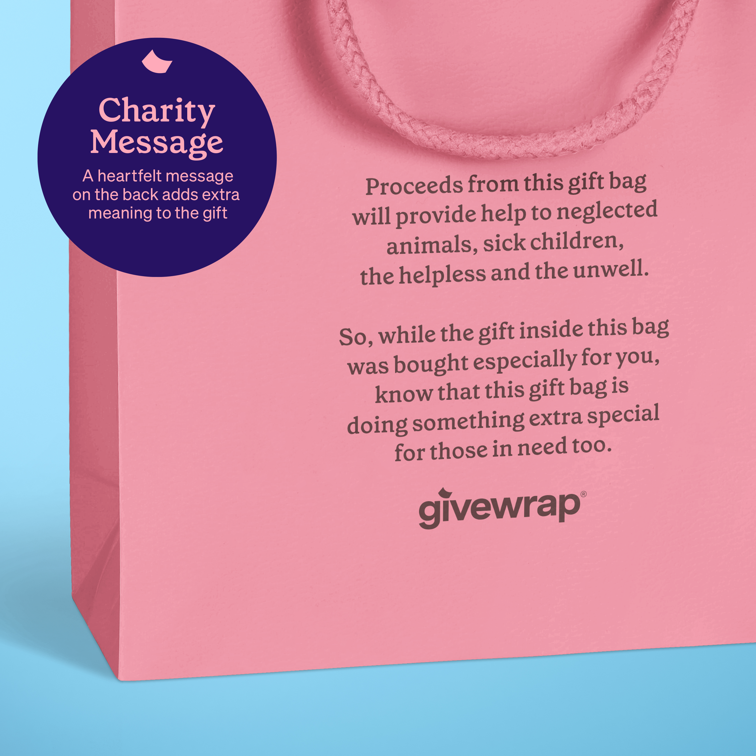 Baby Animal Gift Bags - 3pk